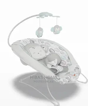 Fisher Price Snuga Extra Cozy Plush Baby Rocker/ Bouncer