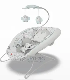 Fisher Price Snuga Extra Cozy Plush Baby Rocker/ Bouncer