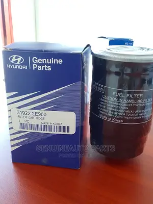 Fuel Filter for Hyundai H200