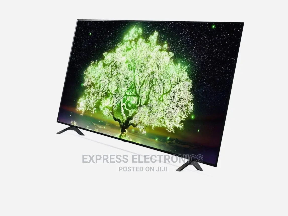LG Oled TV 65”A1 Series Oled Design. A Gallery Worth