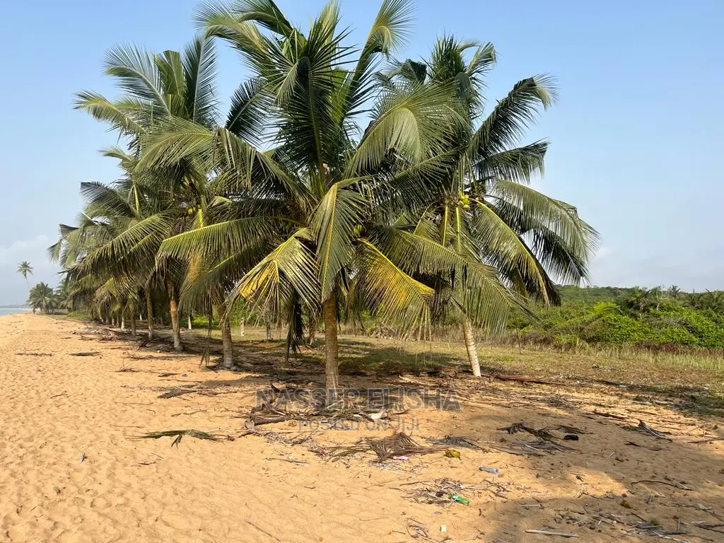 Beachfront Lands for Sale at Epoano,Shama