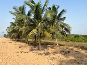 Beachfront Lands for Sale at Epoano,Shama