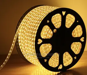 Power/ Plug Trip Core’S Electric Light 50m