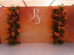 Backdrop for Wedding