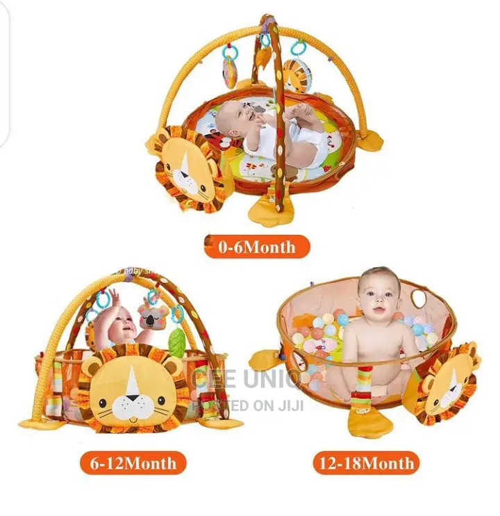 Activity Play Gym