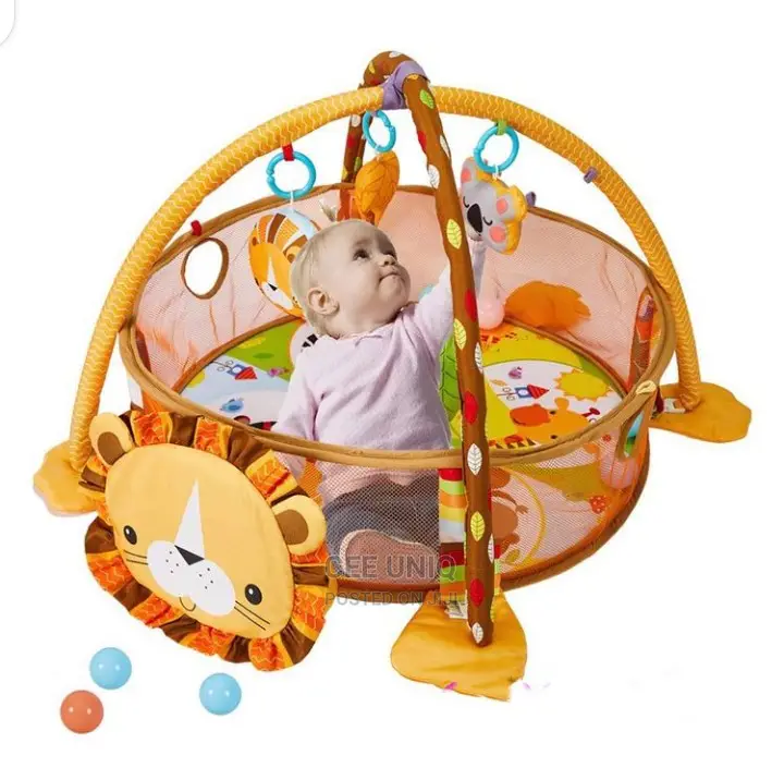 Activity Play Gym