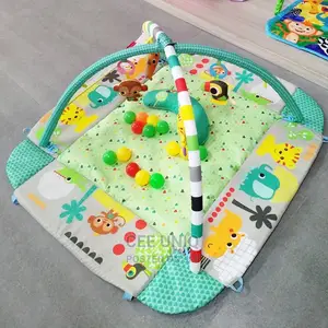 Activity Play Gym
