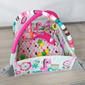 Activity Play Gym
