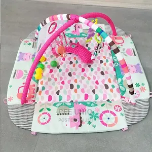 Activity Play Gym