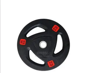 Olympic Plates 25kg Pair