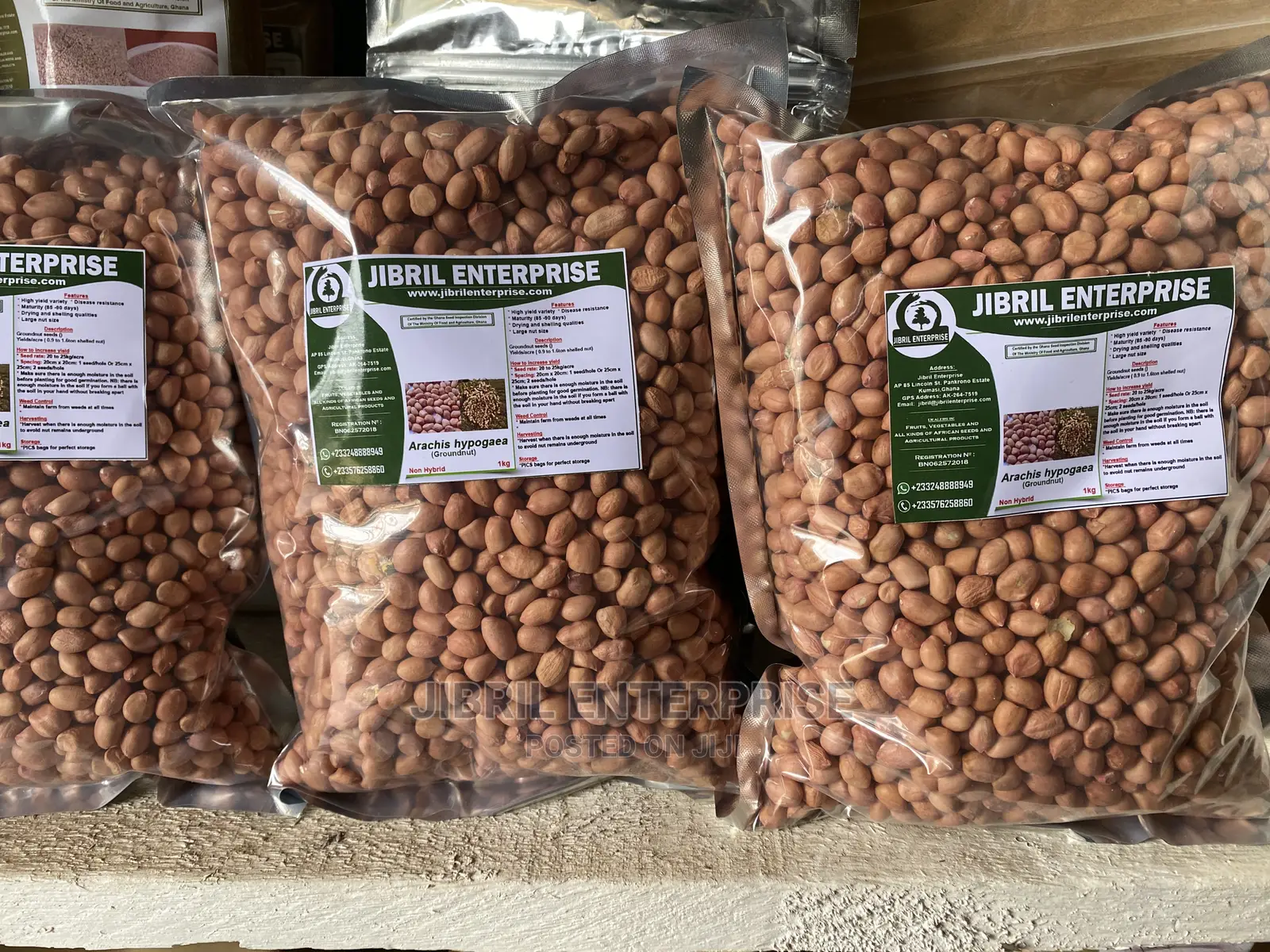Groundnut Seeds for Planting