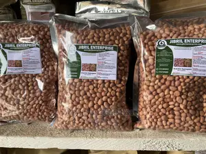 Groundnut Seeds for Planting