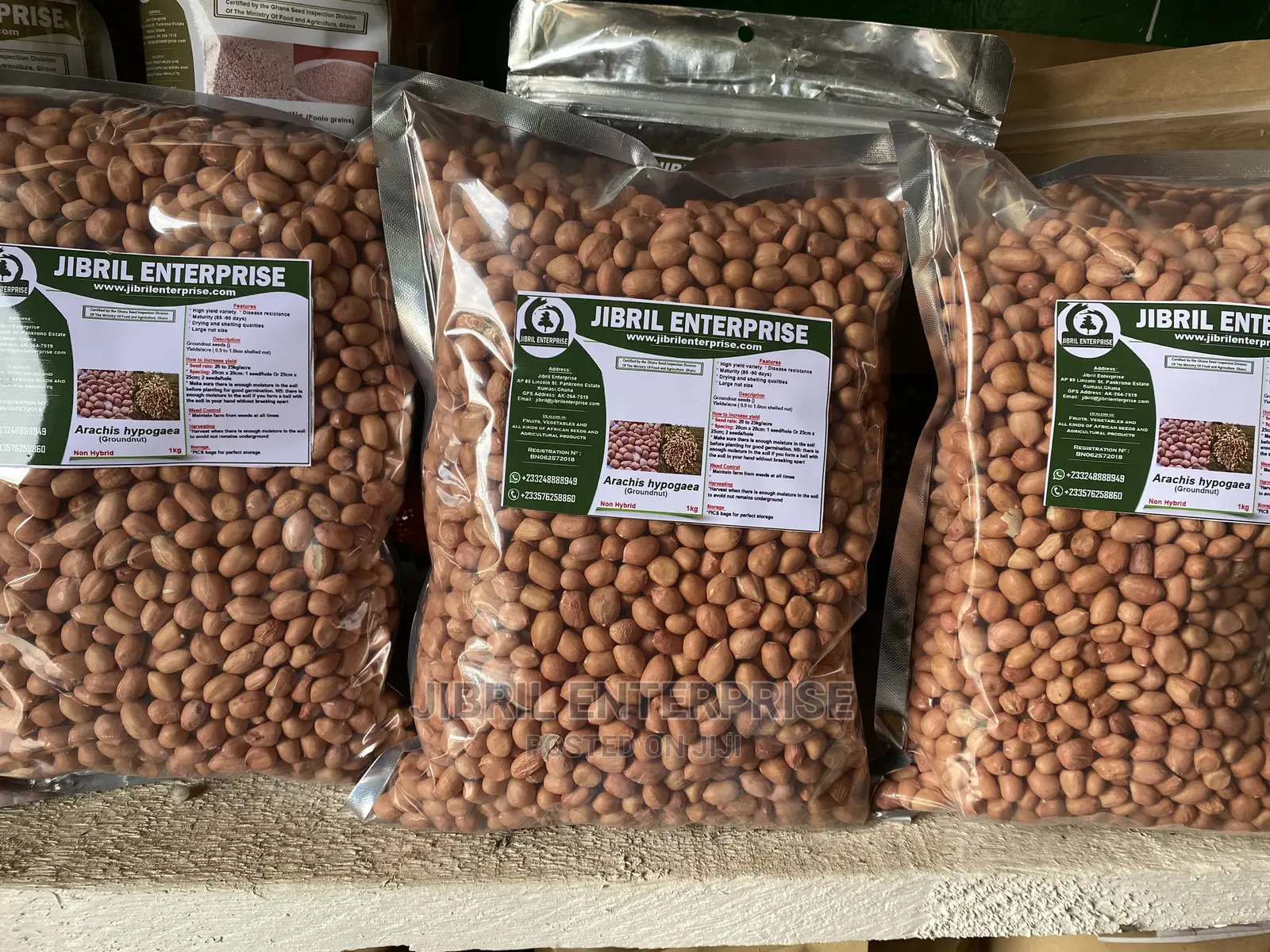 Groundnut Seeds for Planting