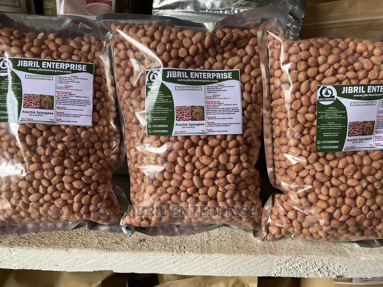 Groundnut Seeds for Planting