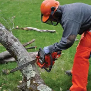 Tree Cutting
