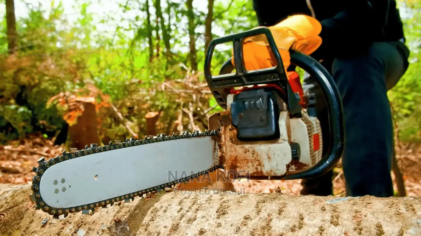Tree Cutting