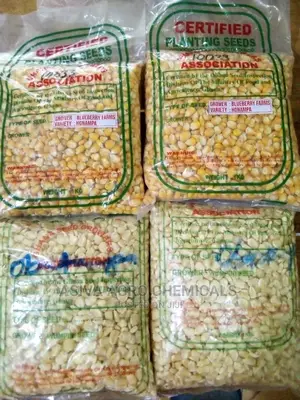 Certified Planting Maize Seeds (Obatanpa, Honampa)