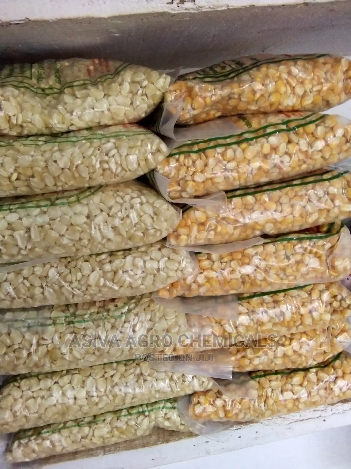 Certified Planting Maize Seeds (Obatanpa, Honampa)