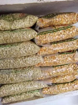 Certified Planting Maize Seeds (Obatanpa, Honampa)