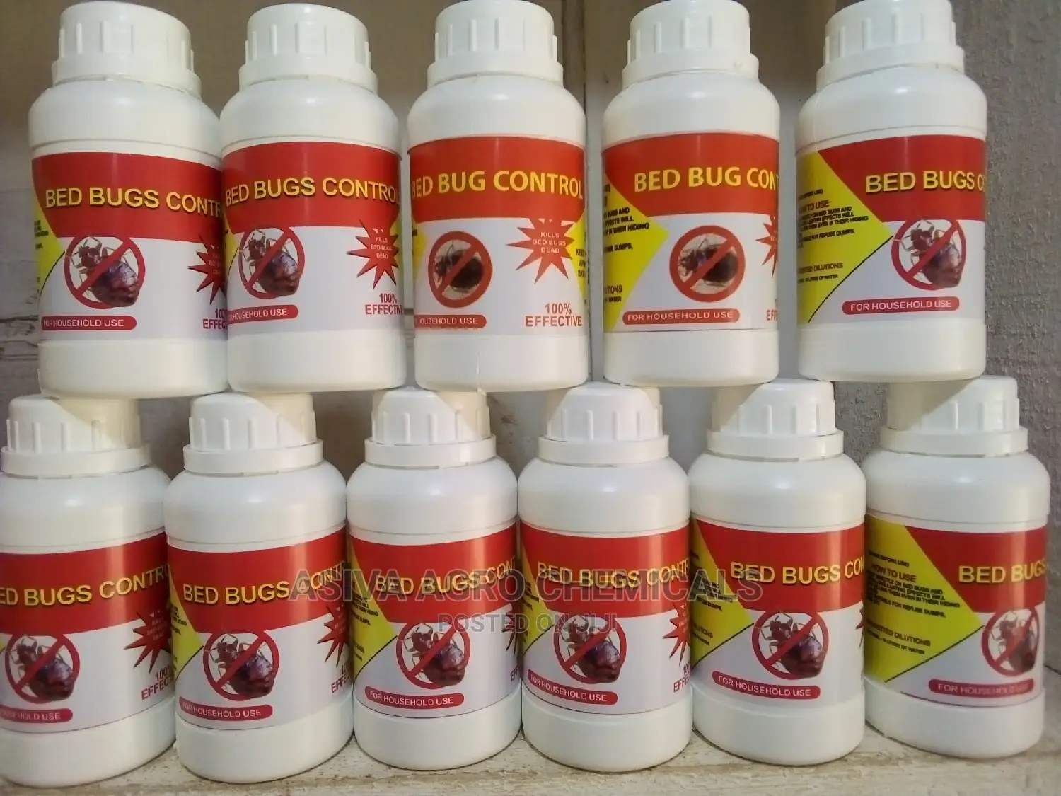 Top Bugs (Bedbug Control)