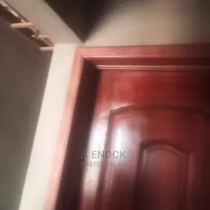Professional in Door Fixing