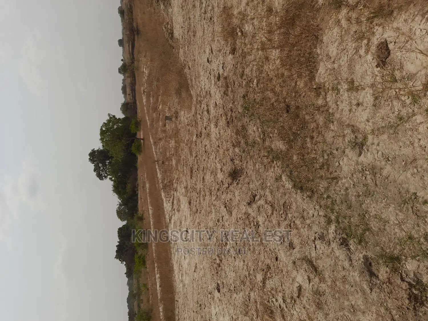 Neatly Demarcated Plots at Tsopoli for Sale