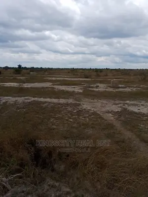 Lovely Demarcated Lands Available