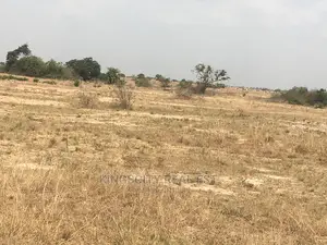 Secure Titled Litigation Free Lands