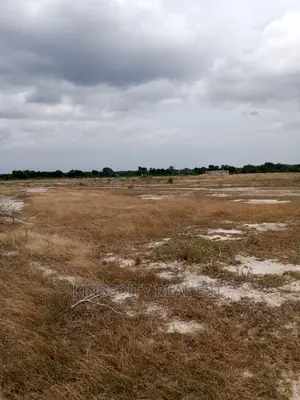 Invest in Your Future Now With Genuine Lands