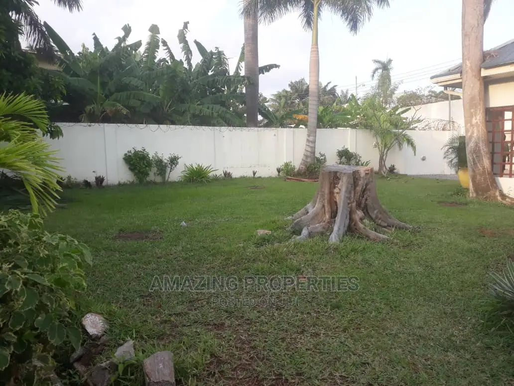 Cake Two Acres Land for Sale Opposite Afrikiko