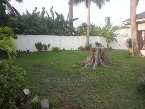 Cake Two Acres Land for Sale Opposite Afrikiko