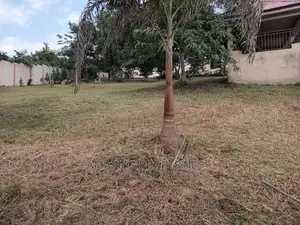 Cake Two Acres Land for Sale Opposite Afrikiko