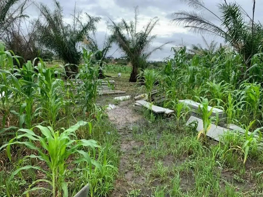 Lands for Sale