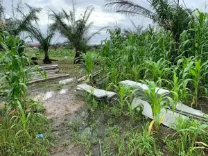 Lands for Sale