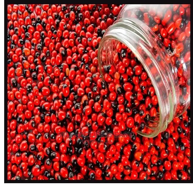 Abrus Precatorius, Rosary Pea or Jequirity