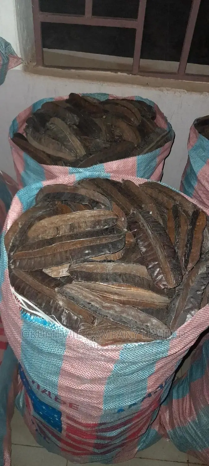 Prekese(Galbanum, Aidan Fuit Or Tetraplaura) For Wholesale