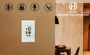 Herdio In-Wall Bluetooth Amplifier for Smart Home