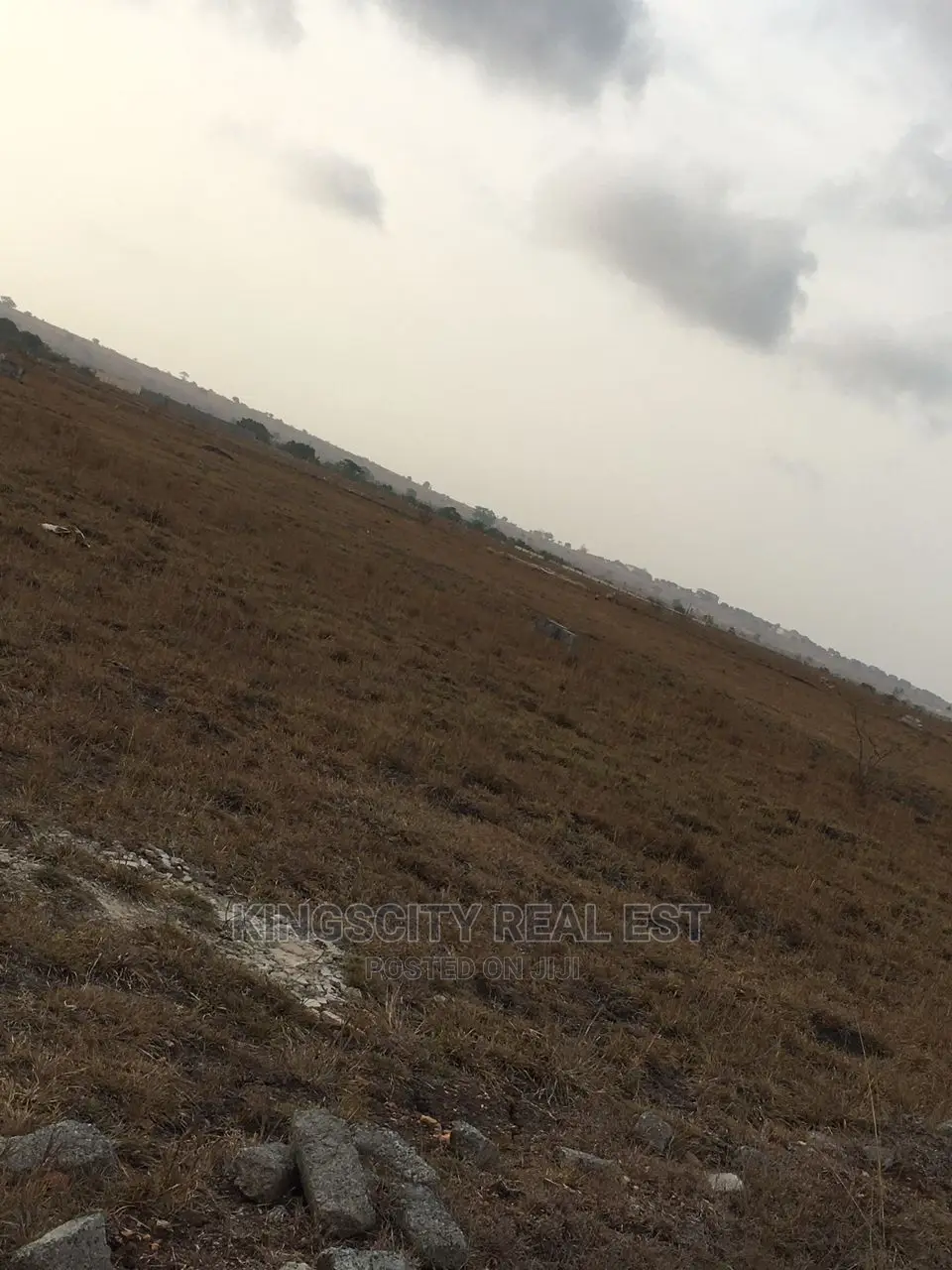 Genuine Land Guard Free Estate Lands