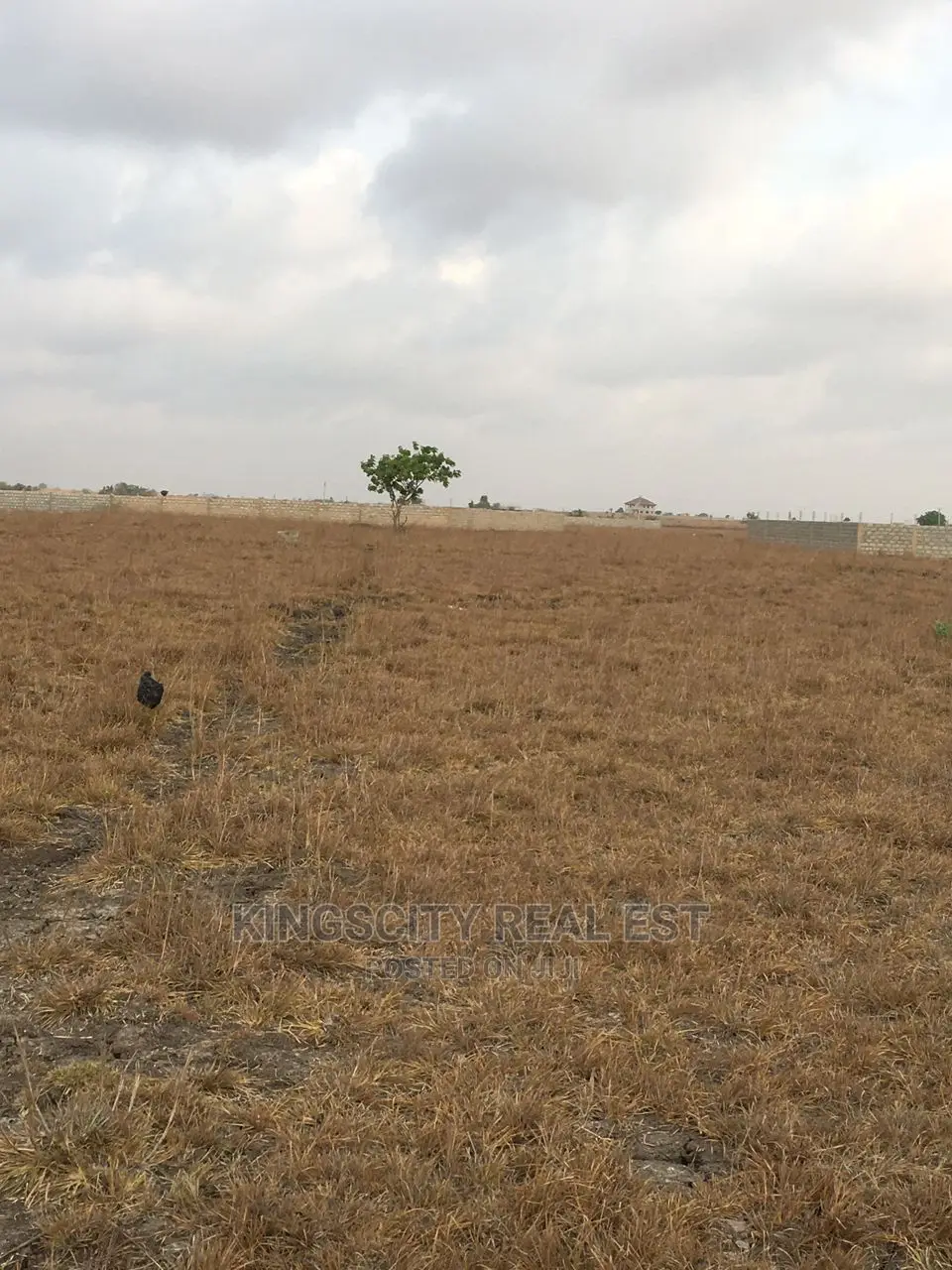 Titled Land for Sale at Serene Environment