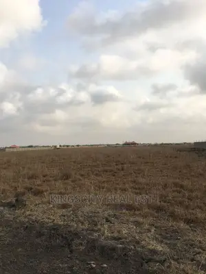 Serviced Land for Sale at Prampram-Freedom Is Here