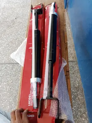 Dodge Dart 2013-2016 Rear Shock Absorbers