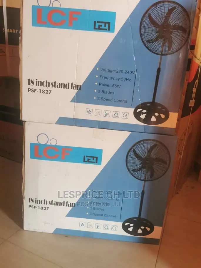 Pearl 18inch Standing Up