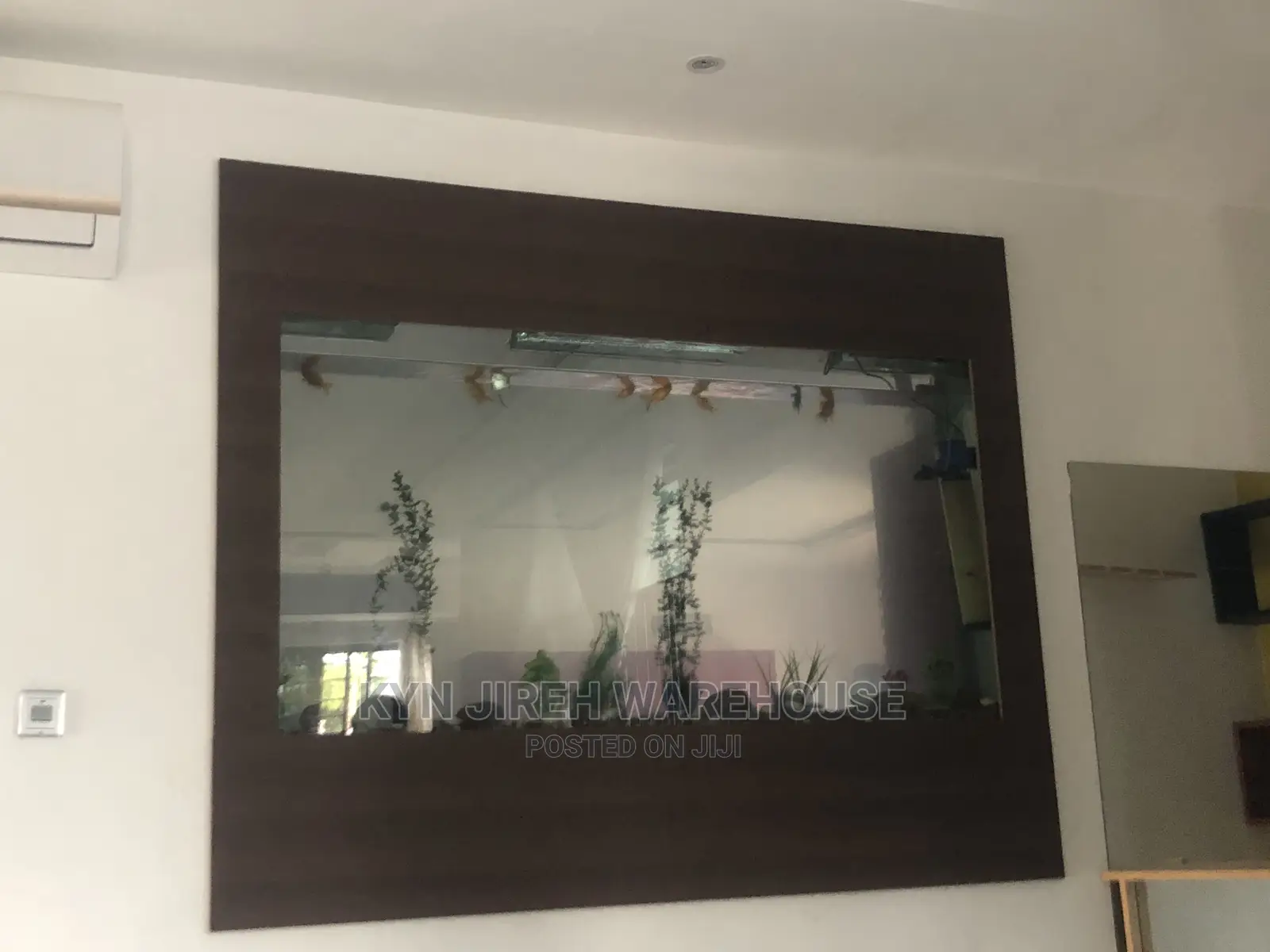Wall Aquarium With Fishes