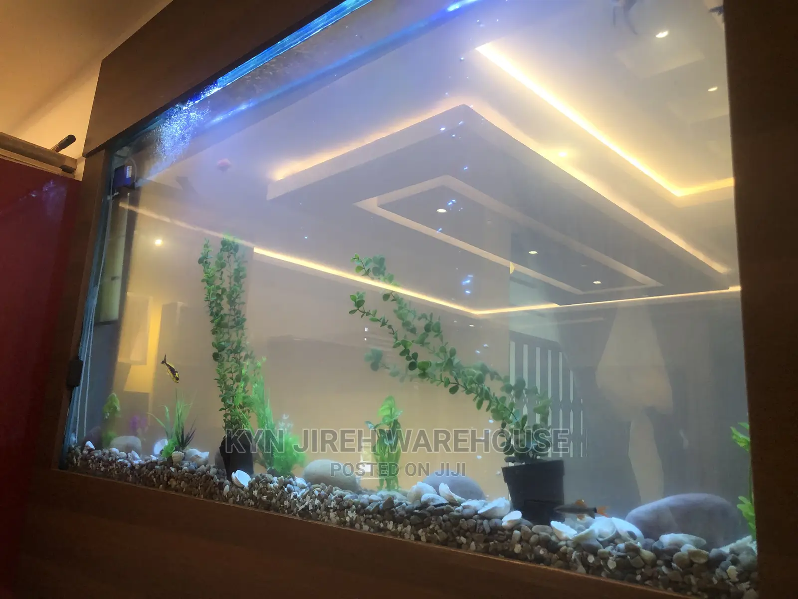 Wall Aquarium With Fishes