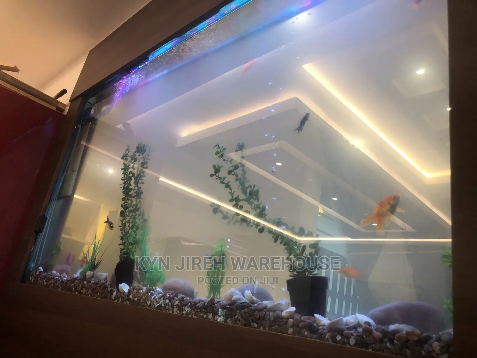 Wall Aquarium With Fishes