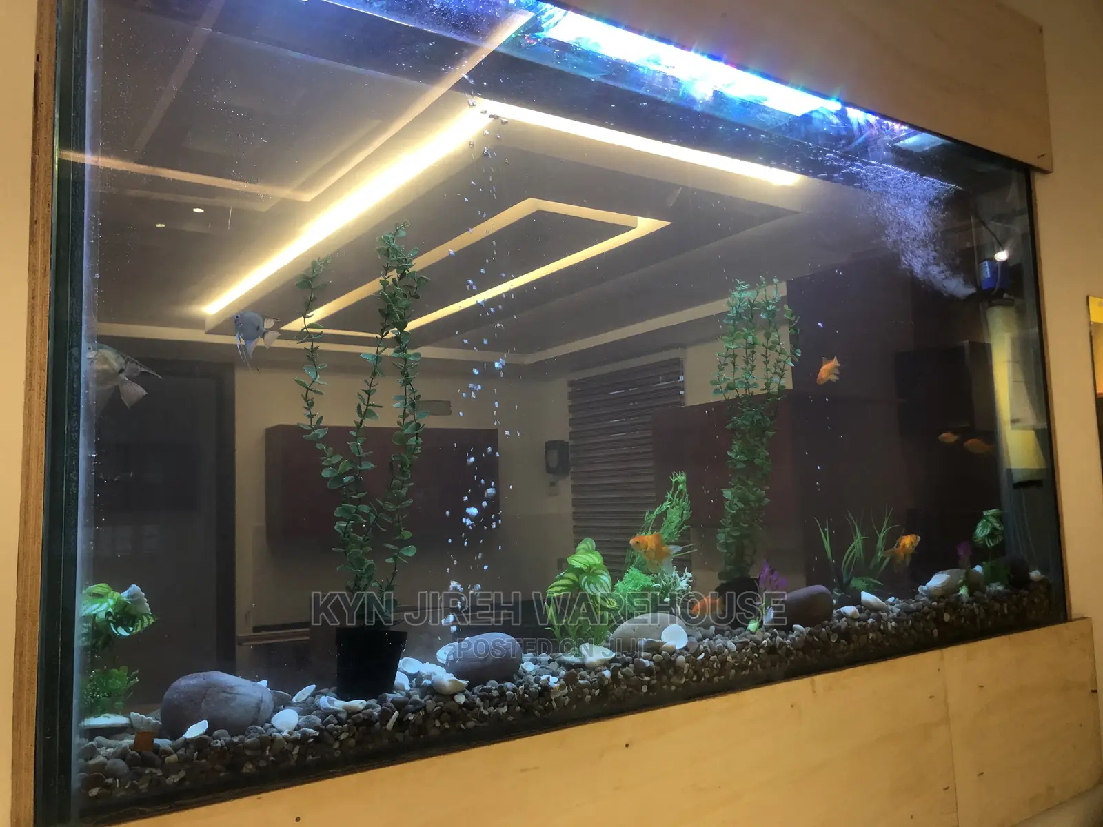 Wall Aquarium With Fishes