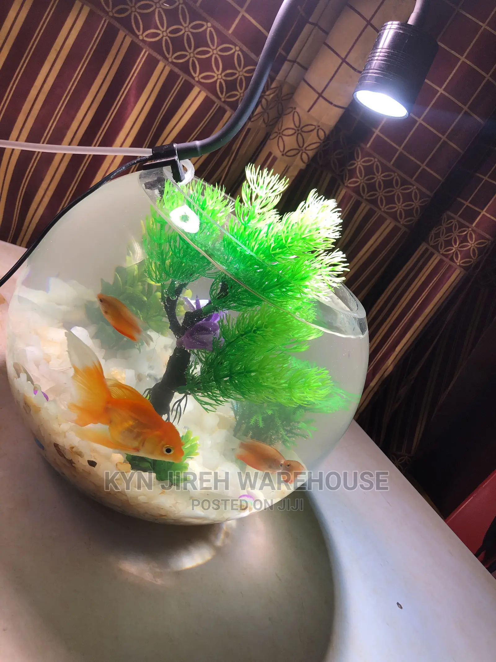 Fish Bowl Aquarium With 3 Fishes