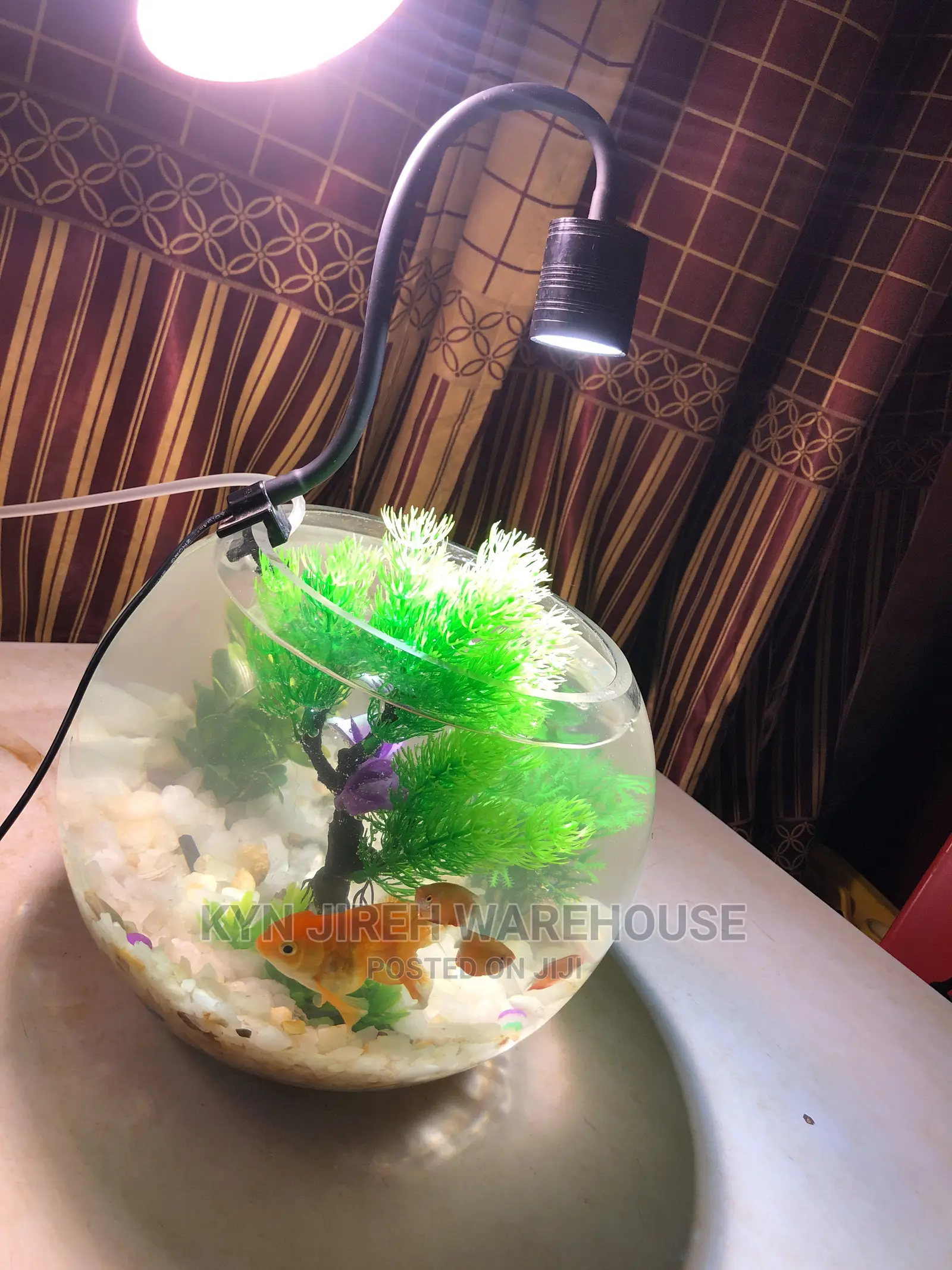 Fish Bowl Aquarium With 3 Fishes