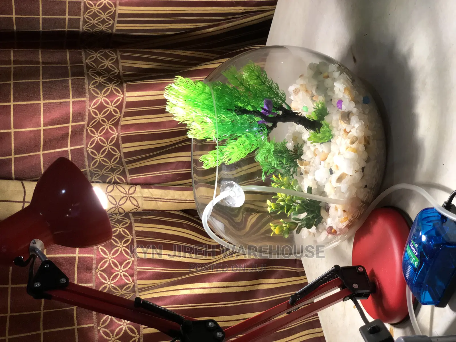 Fish Bowl Aquarium With 3 Fishes