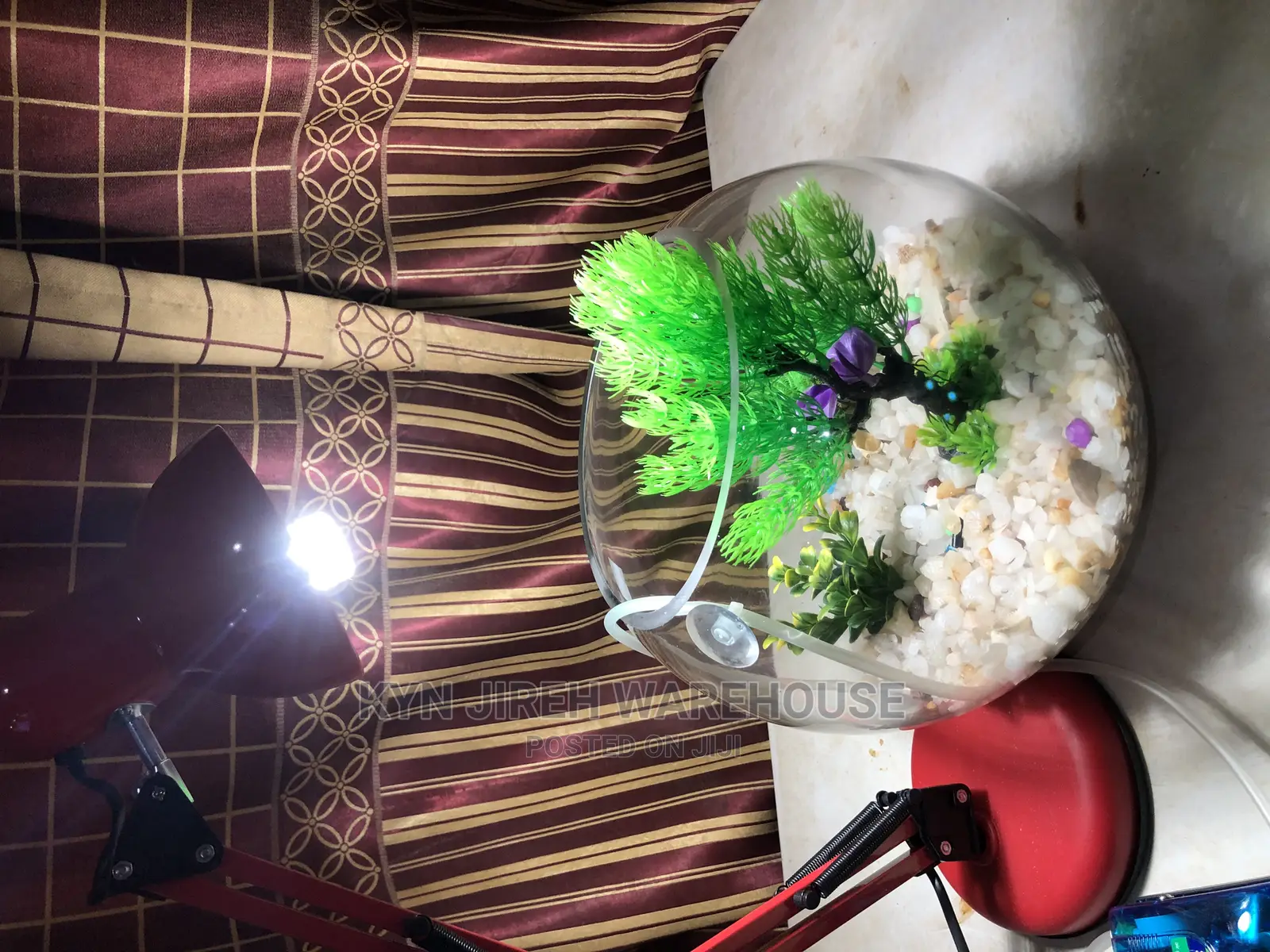 Fish Bowl Aquarium With 3 Fishes